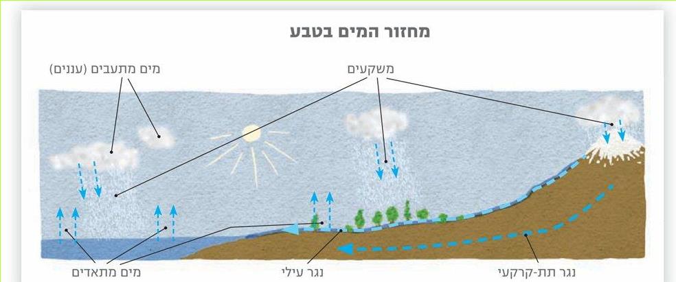 מחזור המים בטבע